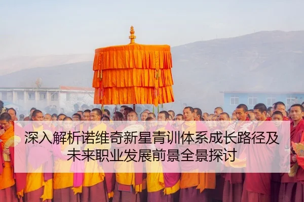 深入解析诺维奇新星青训体系成长路径及未来职业发展前景全景探讨